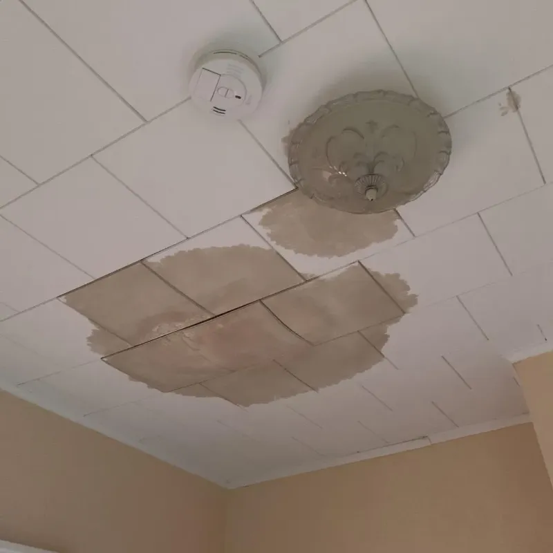 Ceiling Water Damage Repair in De Forest, WI