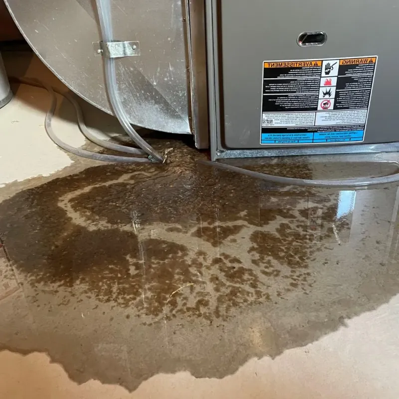 Pipe Burst and Leak Restoration in De Forest, WI